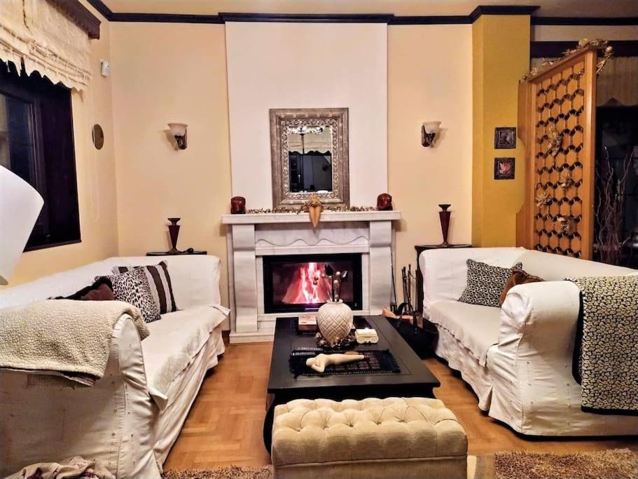 Villa Tethys Mountain Resort Zakas ภายนอก รูปภาพ