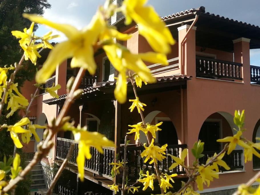 Villa Tethys Mountain Resort Zakas ภายนอก รูปภาพ